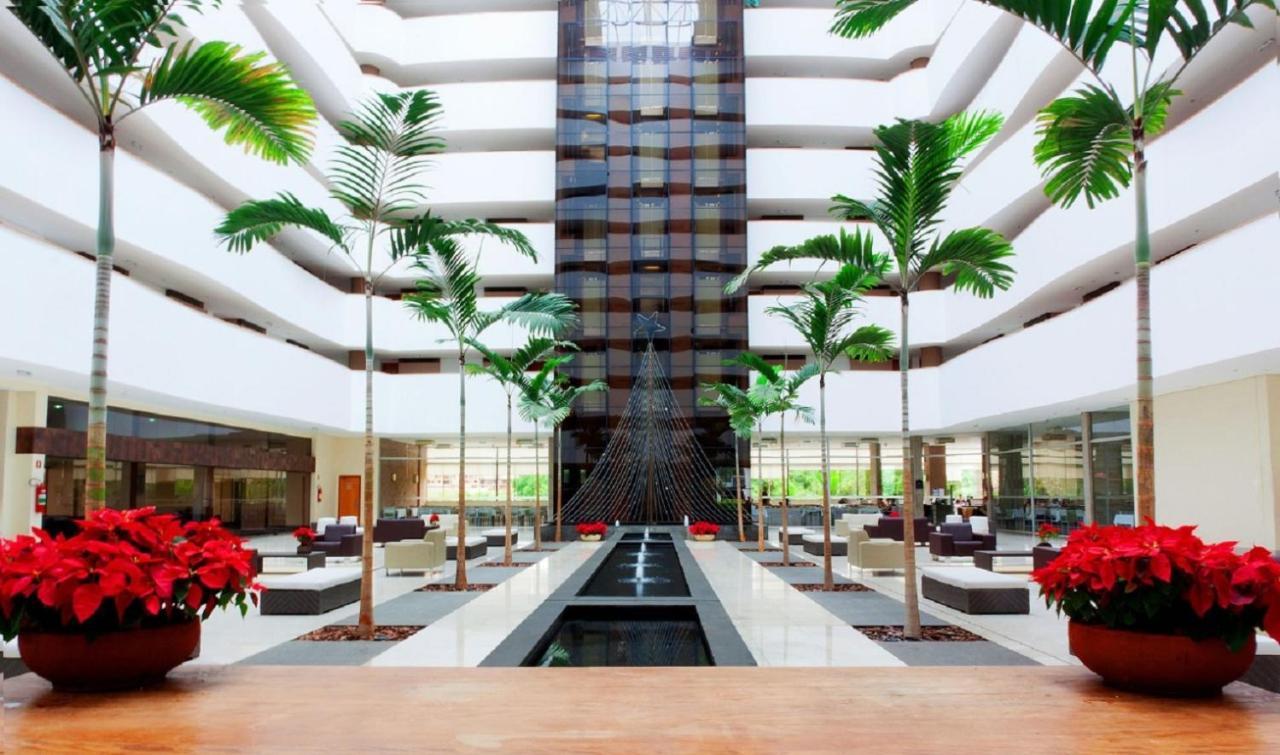 Apartment,1080691819:JPEG